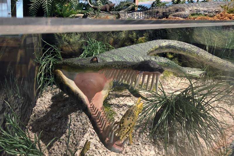 Champsosaur reconstruction