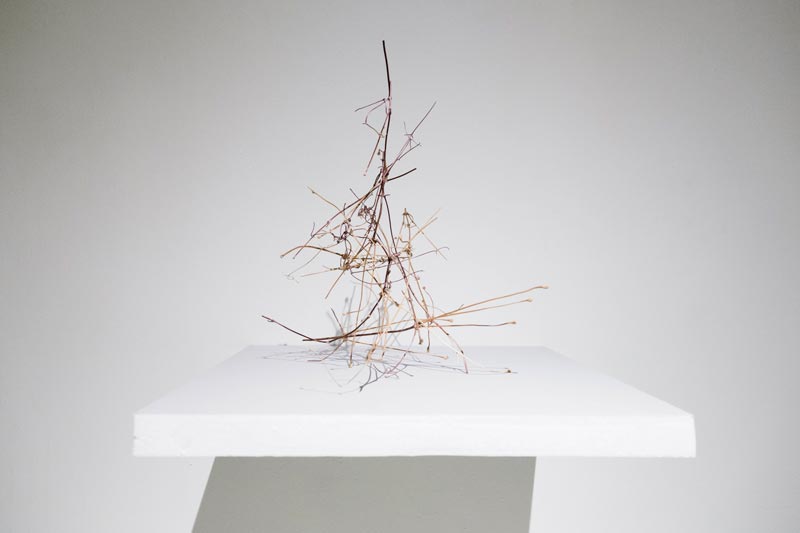 Traces 1