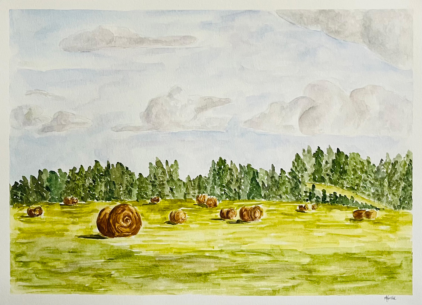 finke-field.jpg