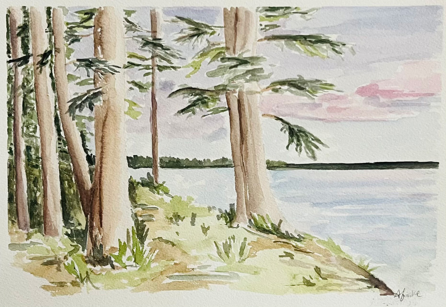 finke-littletrees.jpg
