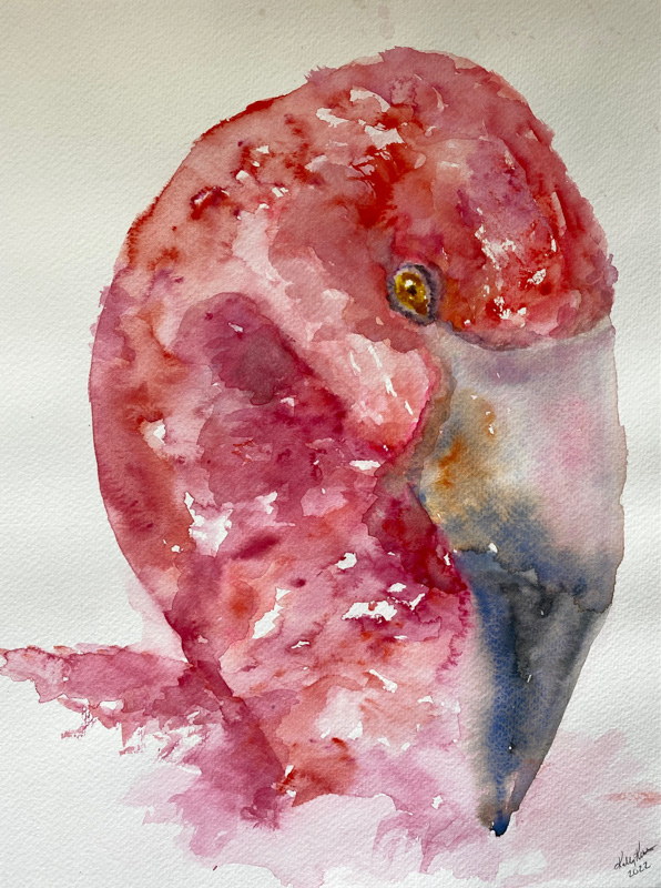 kushniruk-pink.jpg