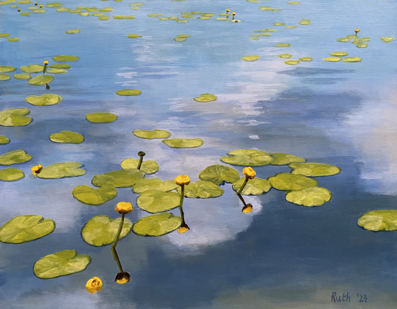 skinner-bullheadpondlilies.jpg